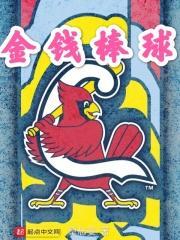 棒球棒金皮