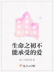生命不能承受之情原盘