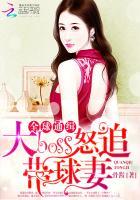全球通缉追捕出逃少夫人全文免费阅读