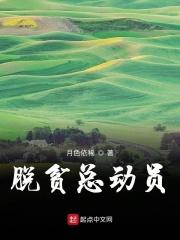 脱贫攻坚冲刺动员大会