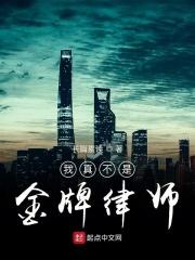 我真的是炼金术师
