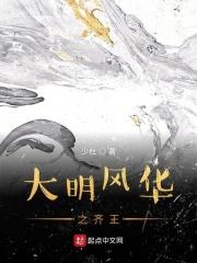 大明风华电视剧全集免费观看高清