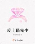 爱上猫咪怎么办