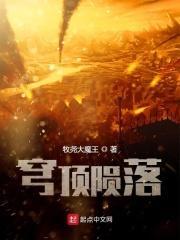 穹顶之前