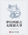 梦幻西游里的无级别什么意思