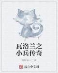 瓦洛兰之盾怎么出装