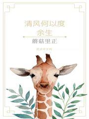 清风霁月余此生全诗