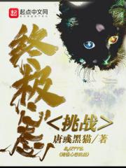 终极挑战视频