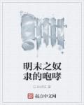 明末之力挽狂澜免费