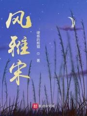 风雅宋歌曲