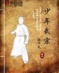 少年武宗TXT