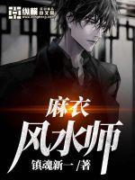 麻衣风水师简介