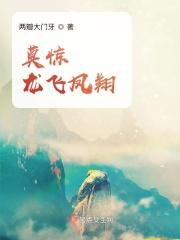 金六福龙飞凤翔价格