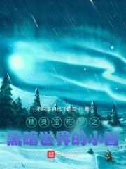 精灵宝可梦黑化小智