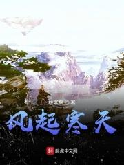 风起天阑是什么意思