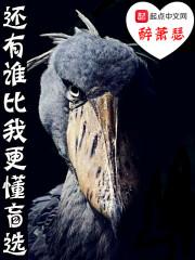 还有谁比我们还绝配是什么歌