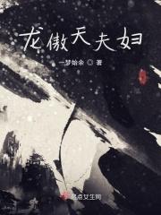 龙傲天是那部
