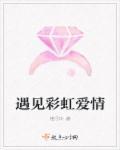 遇见彩虹是什么歌曲