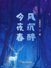 春风沉醉的夜晚116版本