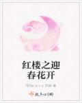 穿越红楼之迎春的