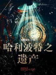 哈利波特遗产是什么游戏