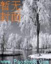 龙凤宝钗缘(下)
