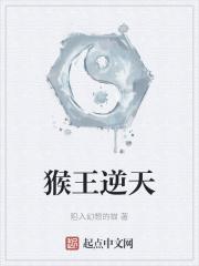 猴王npc
