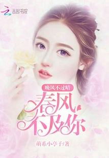 晚风不及你情深免费阅读