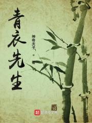 青衣讲的是什么意思