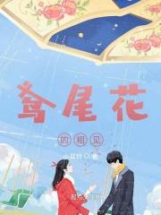 鸢尾花含义