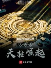 大秦之天柱崛起 起点