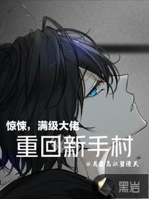 满级大佬进新手村的故事