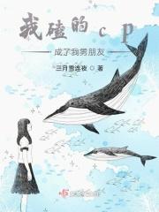 我磕的cp成真了txt
