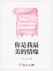 你是我最美的缘歌词