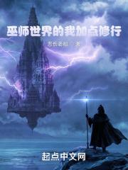 巫师的世界设定集