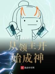从领主开始成神永夜