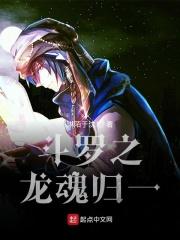 斗罗大陆之龙归