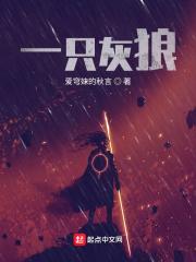 一条灰狼多少包