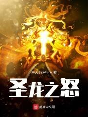 圣龙之妻txt