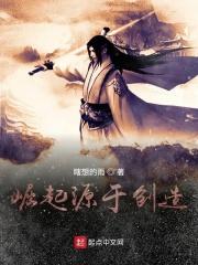 崛起过程