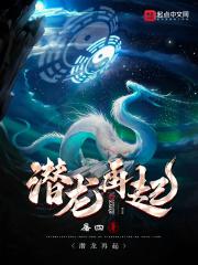 潜龙再起 陈平安 沐