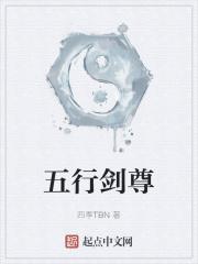 五行剑体