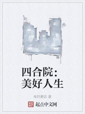 四合院美好人生_(夜的邂逅)