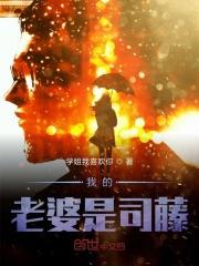 我的老婆是女主
