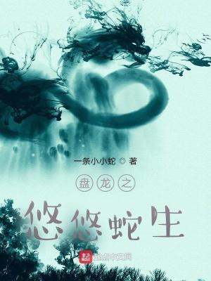 盘龙之圆满