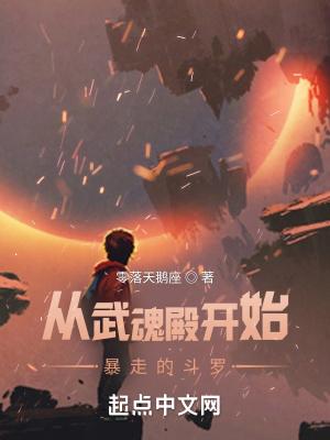 穿越从武魂殿开始
