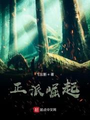 正派崛起txt