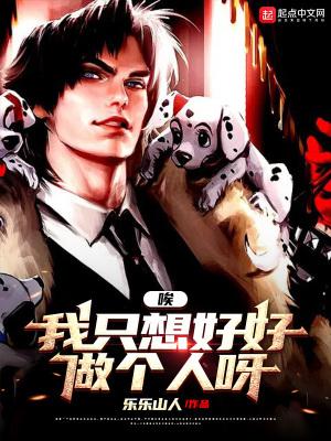 我是一只流浪狗是哪首歌的歌词