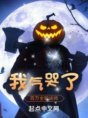 全职法师之林风