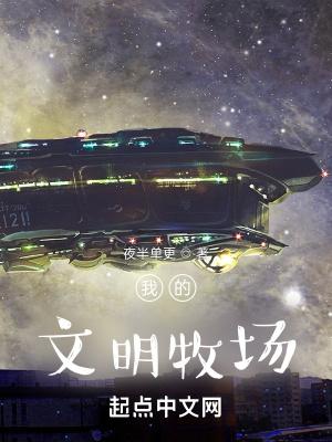 我的文明地块
